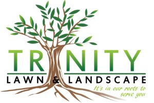 Trinity Lawn & Landscape